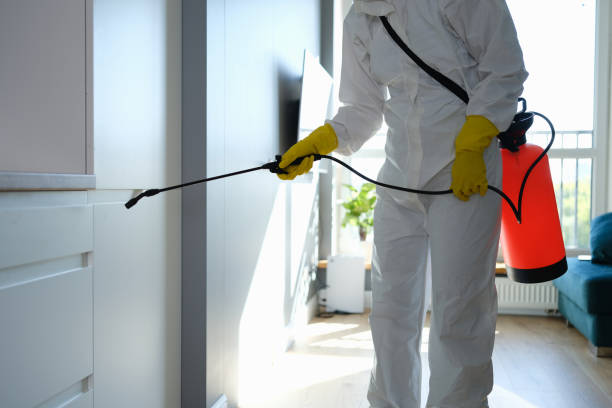 Best Residential Mold Removal  in Bargersville, IN