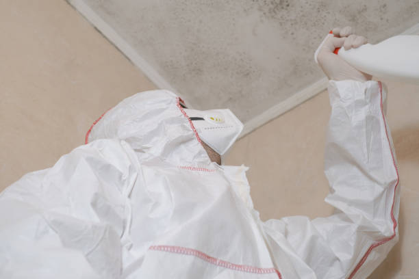 Best Crawl Space Mold Removal  in Bargersville, IN