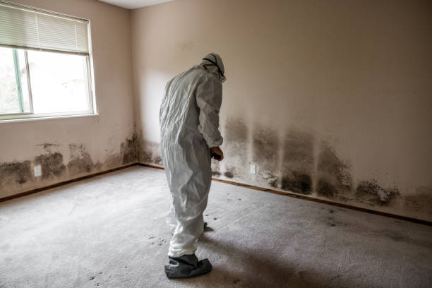 Mold Testing and Removal in Bargersville, IN