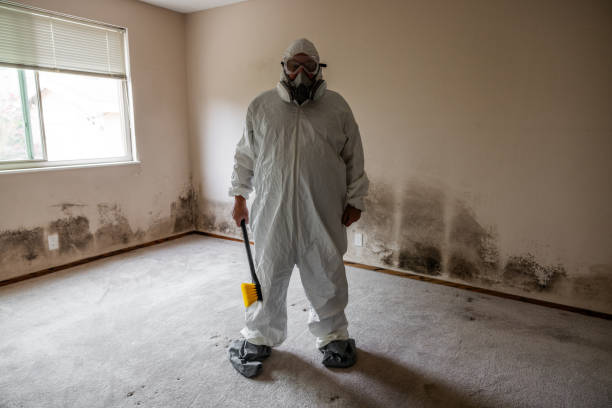 Best Professional Mold Removal  in Bargersville, IN